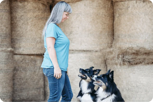 Egal ob groß oder klein, jung oder alt. Hundeausbildung geht immer!