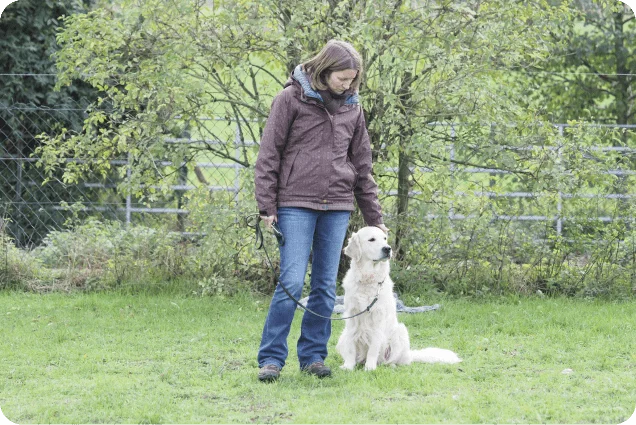 Hundetrainerausbildung bei der Tierakademie Scheuerhof ist immer möglich