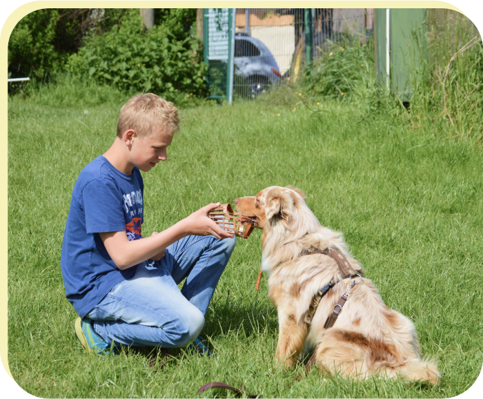 Das Zusammenspiel von Lob und Streicheleinheiten erklärt von der Tierakademie.