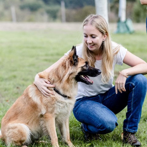 Die Tierakademie Scheuerhof hat Vici im Umgang mit ihrem Hund sehr gut helfen können.